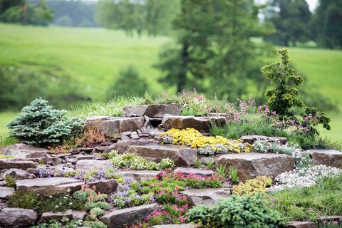 RHS Chatsworth Flower Show 2017 tänään (tiistaina 6. kesäkuuta 2017) Jackie Knightin Just Add Water