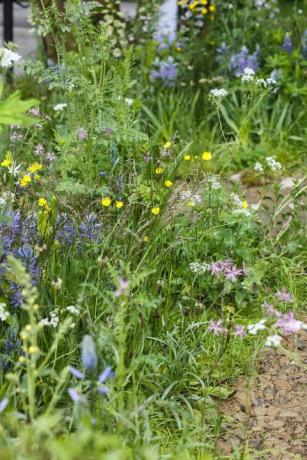 Chelsea Flower Show 2019 - Tervetuloa Mark Gregoryn Yorkshiren puutarhaan