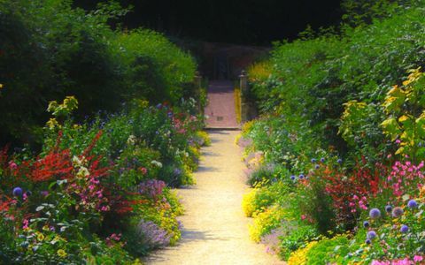englanti-maa-puutarha-path