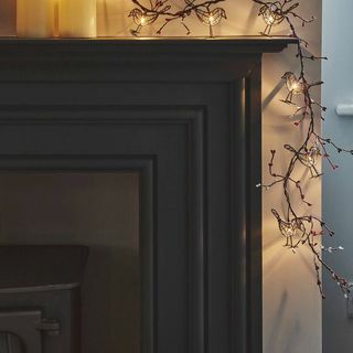 Winter Robin Garland LED Fairy Lights