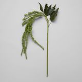 Faux Green Amaranthus -suihke
