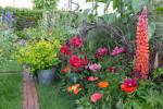 8 parasta kukkivaa kasvia värikkäälle puutarhanäytölle