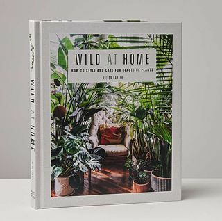 Villi kotona: Tyyli ja hoito kauniista kasveista -kirja