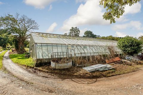 Rumleigh House - Yelverton - Devon - kasvihuone - Strutt ja Parker