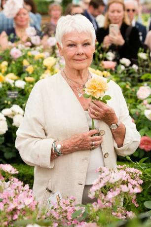 Judi Dench osallistuu RHS Chelsea Flower Show 2017 -lehdistöpäivään