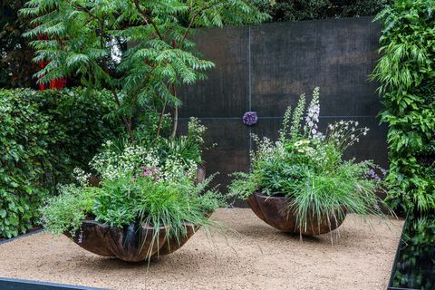 rhs chelsea -kukkanäyttely 2021 konttipuutarhat