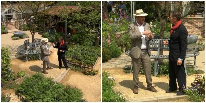 chelsea kukkaesitys 2023 joe swift ja monty don antavat tuomionsa savills gardenista