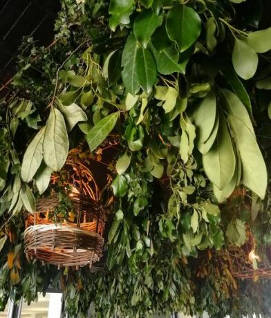 Chelsea Flower Show Tunnel 2018, nimeltään La Famillen luonnollinen kinesteesi