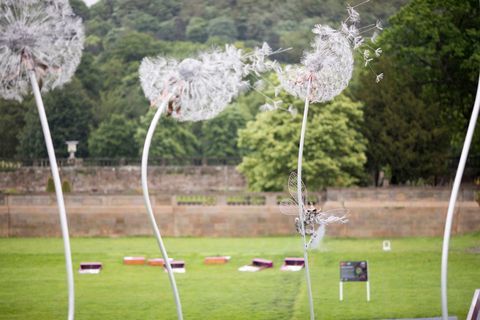 RHS Chatsworth Flower Show 2017 tänään (tiistai 6. kesäkuuta 2017)