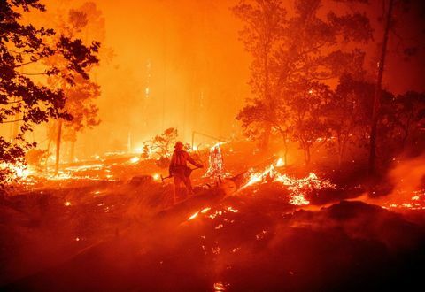 sukupuoli paljastaa kulo Kaliforniassa