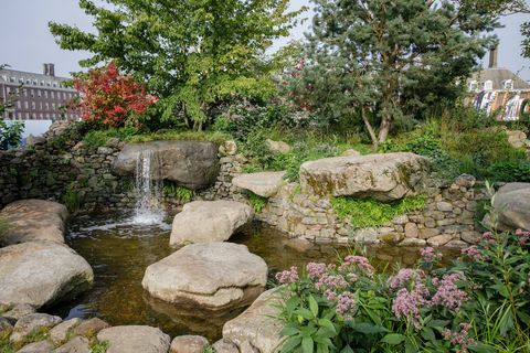 rhs chelsea -kukkaesitys 2021 sanctuary gardens