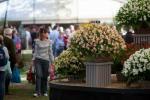 RHS Malvern Autumn Show 2022: päivämäärät, liput, kohokohdat