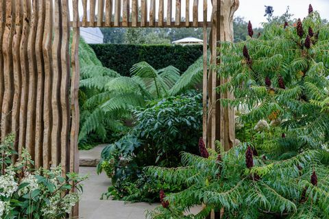 rhs chelsea -kukkaesitys 2021 sanctuary gardens