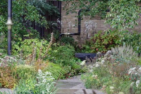 rhs chelsea -kukkaesitys 2021 show gardens