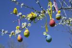 Pääsiäispuun ideat: Kuinka tehdä ja mistä ostaa pääsiäismunan puita