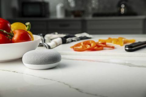 google home mini ge