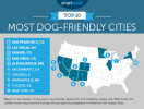 Useimmat koiraystävälliset kaupungit Yhdysvalloissa