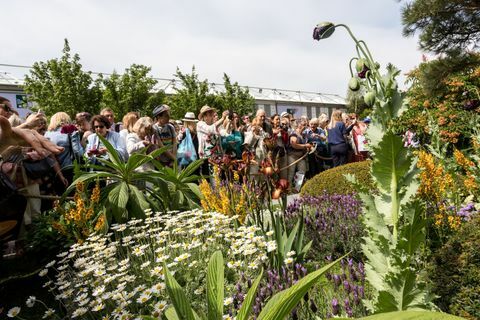 Väkijoukot vierailevat Chelsean kukkashow'ssa Lontoossa