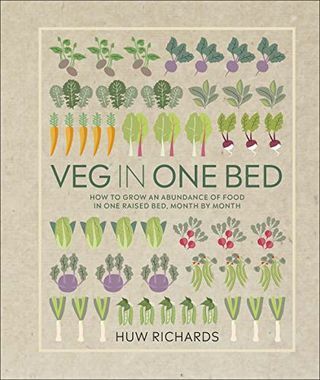 Vihanneksia yhdessä sängyssä: kuinka kasvattaa runsaasti ruokaa yhdessä korotetussa sängyssä kuukausittain