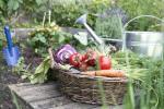 5 puutarhanhoitoa, jotka parantavat mielenterveyttä ja hyvinvointia