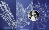 Kansainvälinen naistenpäivä: Anna Atkinsin inspiroima kasvitieteellinen taustakuva on yksinkertaisesti tyylikäs
