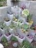 Puutarhanhoitotrendit - tapoja parantaa puutarhaa