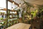 Airbnb ja Pantone tekevät yhteistyötä Greenery 'Outside In' -talossa Lontoossa