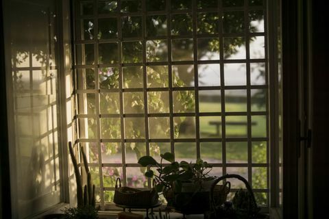 Ikkunanäkymä puutarhaan