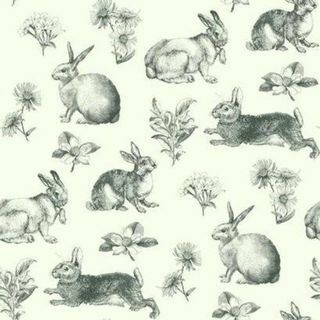 Innoittamana Väri Bunny Toile At4263 -taustakuva