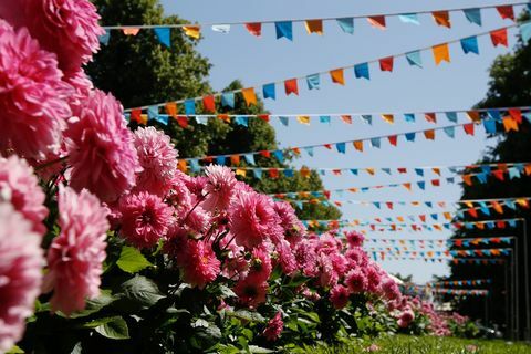 rhs hampton court palatsin puutarhafestivaali 2019