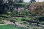 Pupu Mellonin puutarhan salaisuudet: Yhden historian tunnetuimmista puutarhureista arvokkaimmat oppitunnit