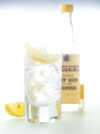 Lasillinen gin ja tonic Boothin gin-pullolla