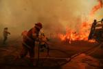 Kuinka auttaa Australiaa tulen uhreja, eläimiä, Koalasia, evakuoreita, palomiehiä