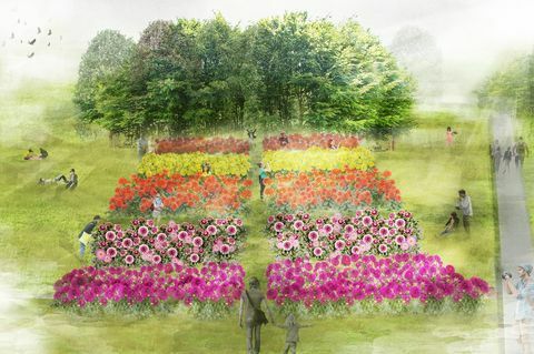 Dahlia-kuva RHS Flower Show Tatton Park 2019: lle
