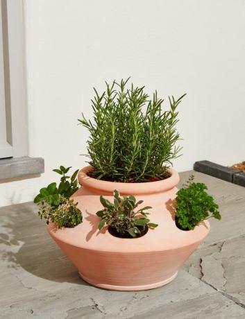 Yrtti Babylon Terracotta Planter, Marks & Spencer