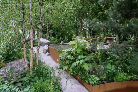 Alistair Bayfordin suunnittelema Family Monsters Garden - Chelsea Flower Show 2019