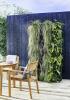 Dobbies puutarhakeskukset lanseeraavat elävät seinäkasvit