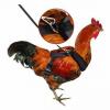Tämä kananvaljaiden ja talutushihnasetti sisältää värikkäitä rusetteja, jotka tekevät kanasta fancy