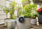 Chelsea Flower Show: Dobbies voitti parhaan kestävän puutarhatuotteen