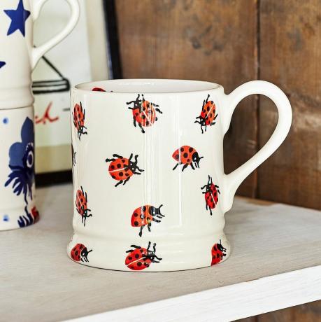 Emma Bridgewater Insects Ladybird Muki