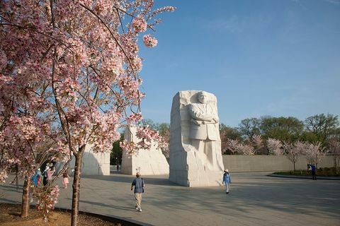 kirsikankukka kansallinen ostoskeskus Martin Luther King Jr. Memorial