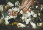 Sotheby-huutokauppa maailman suurimmalle kissamaalaukselle