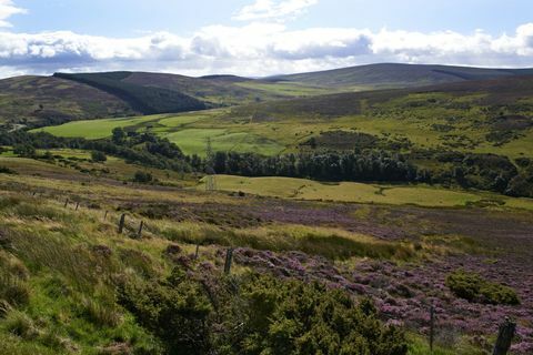 Cairngormsin kansallispuisto