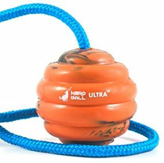Nero Ball Ultra TM - koiran harjoituspallo köydellä - liikunta- ja palkitsemislelu koirille