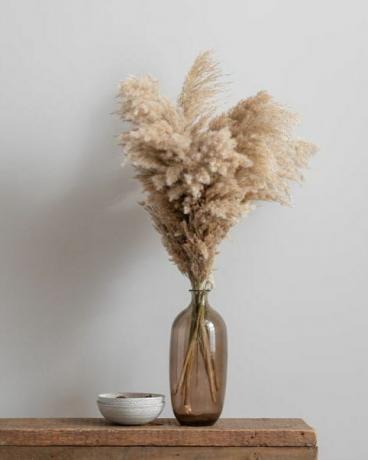 Kuivattu Pampas Natural Grass Bundle