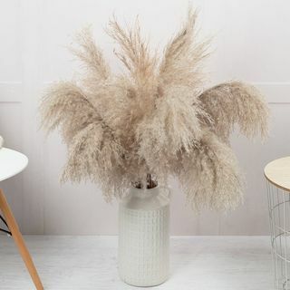 Luonnollinen Pampas -kimppu