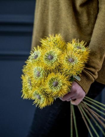 Philippa Craddock V & A: n inspiroima keinotekoinen kukkakokoelma