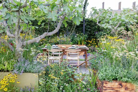 rhs chelsea -kukkaesitys 2021 sanctuary gardens