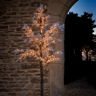 Indoor Outdoor Large Light Up Blossom Tree - Pehmeä valkoinen