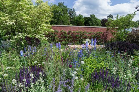 Wedgwood-puutarha. Suunnittelija: Jamie Butterworth. Sponsoroi: Wedgwood. Näytä puutarha. RHS Chatsworth Flower Show 2019.